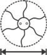 10 - Cultivating Width.JPG